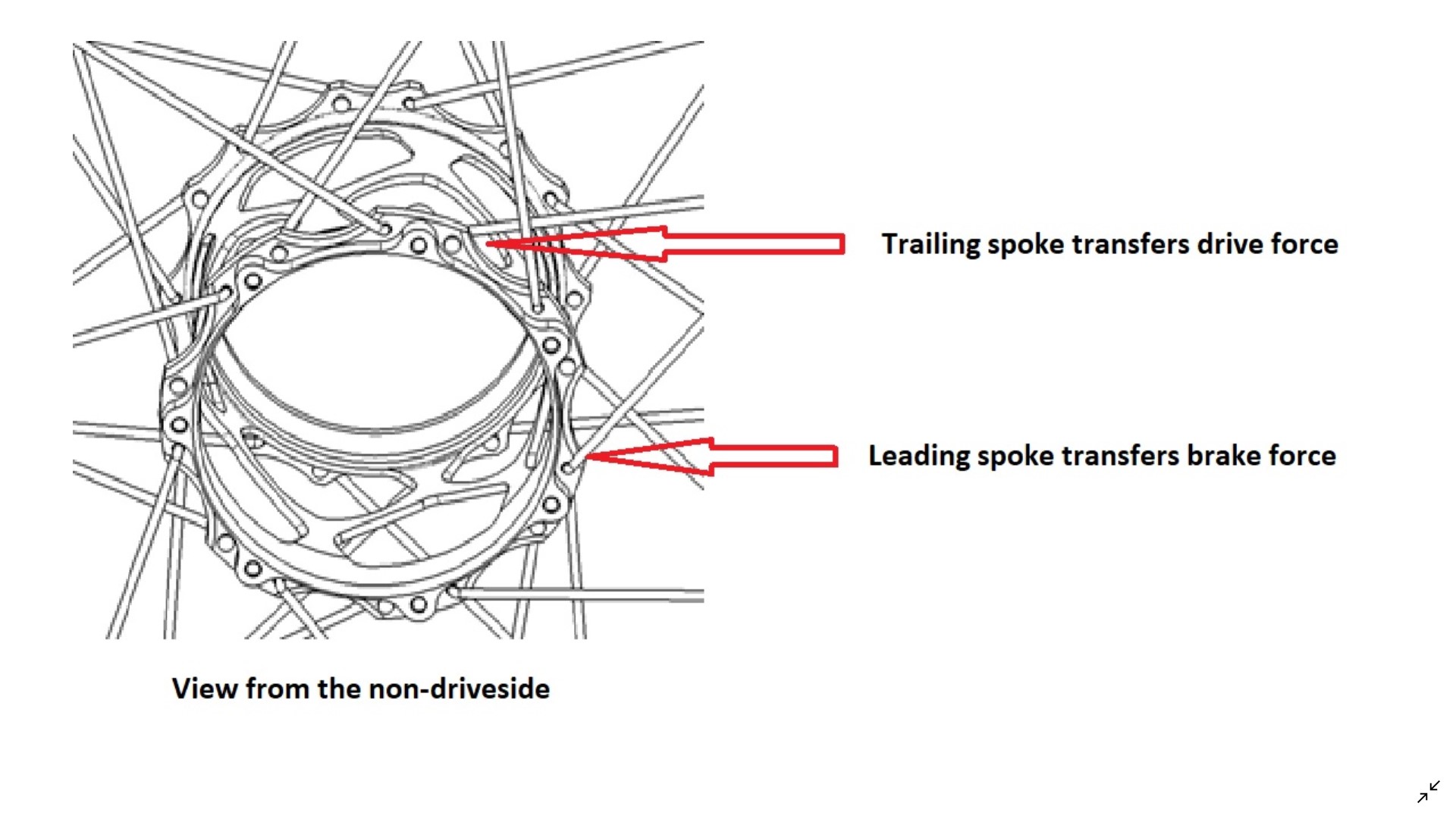 Building-wheel-Standard-3